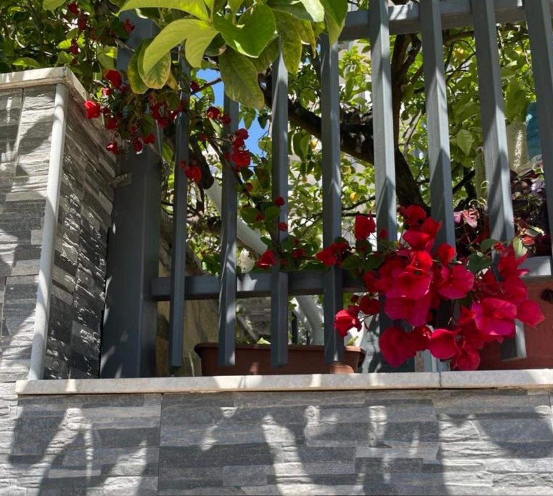 Sala Apartment'S Sarandë エクステリア 写真