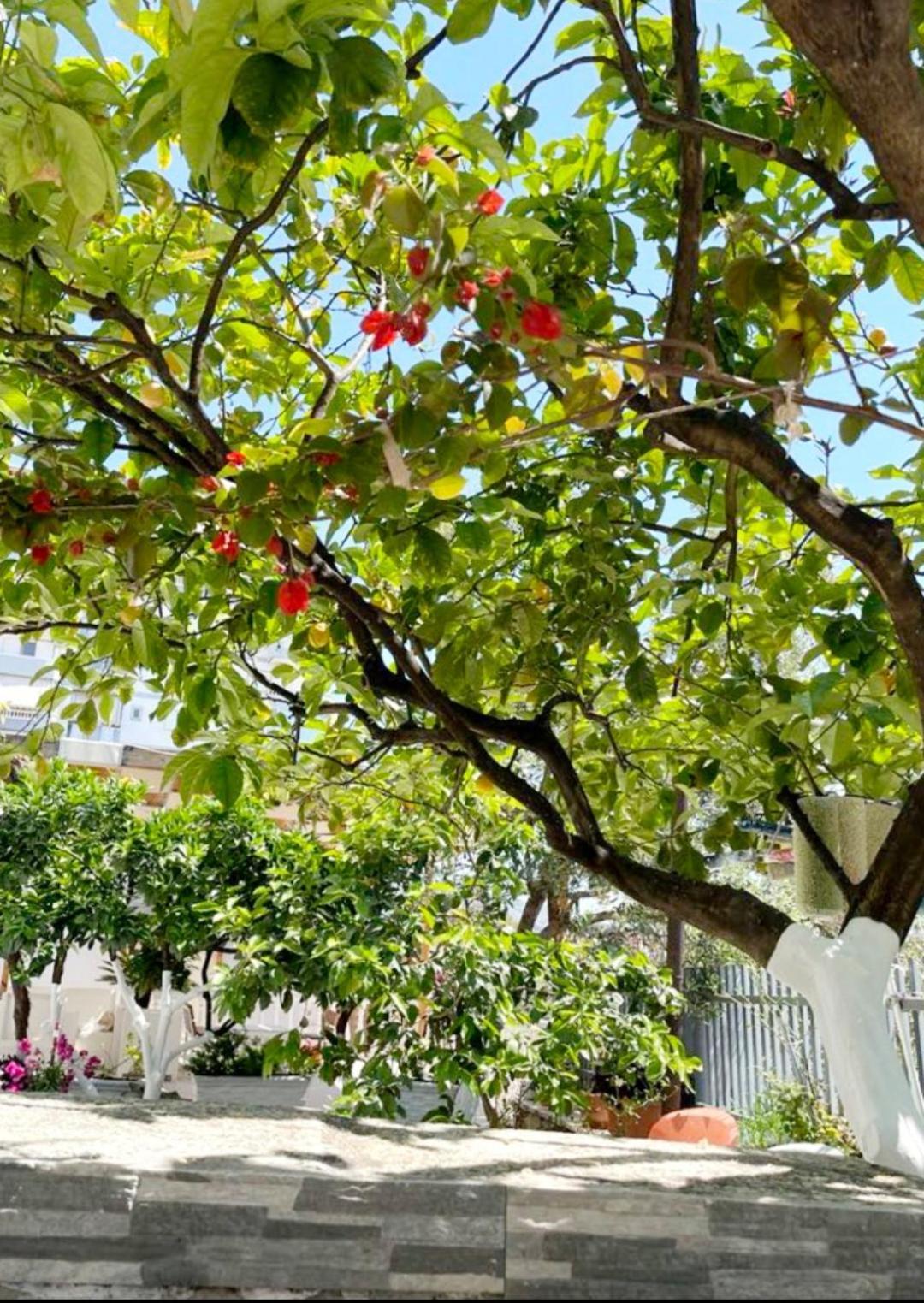 Sala Apartment'S Sarandë エクステリア 写真